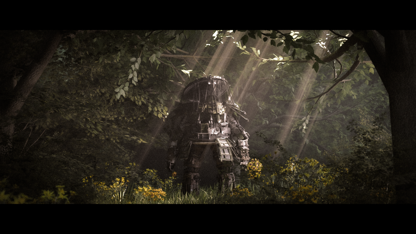 A lone figure in a sunlit forest