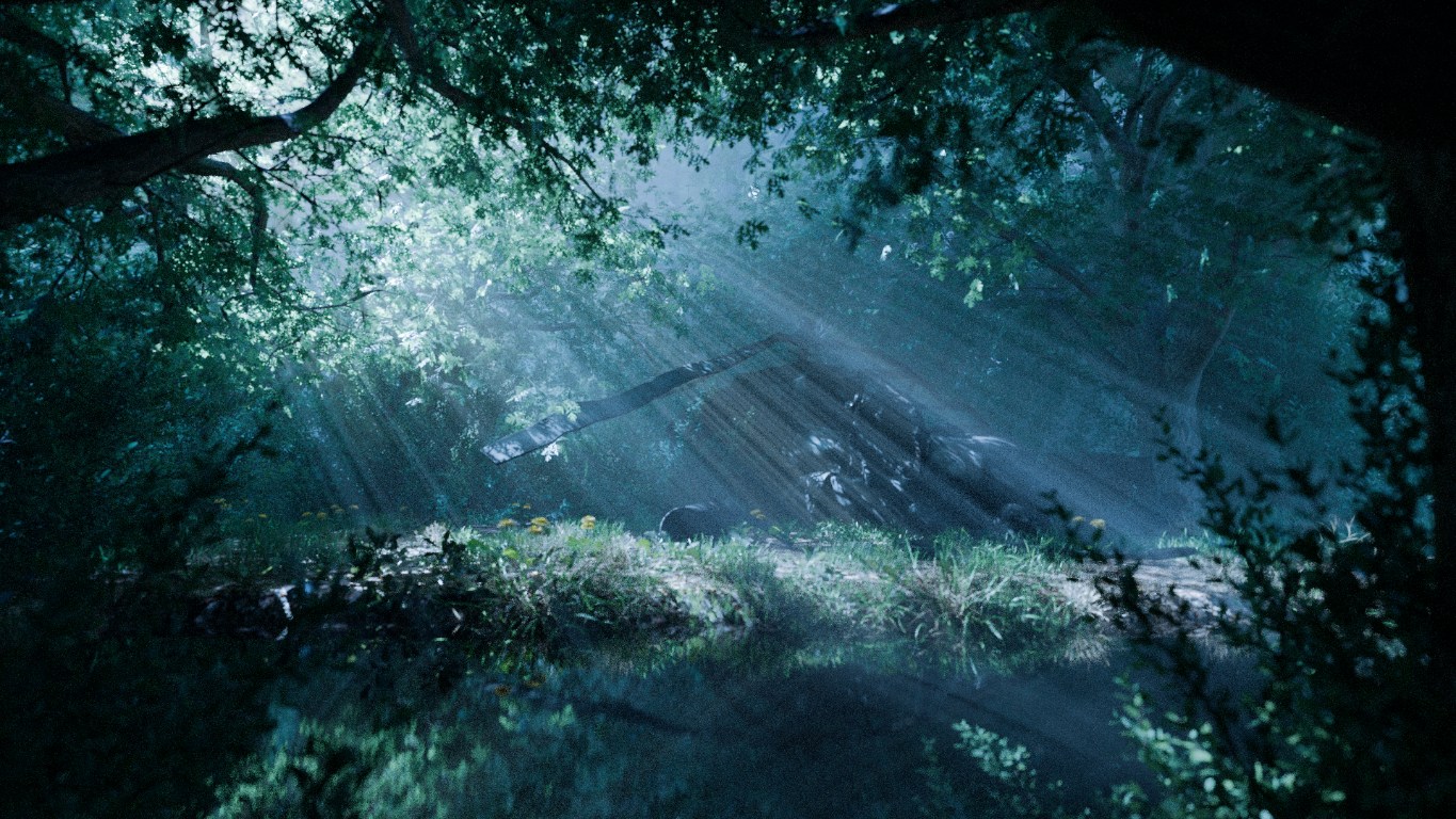 A helicopter hidden in a sunlit forest